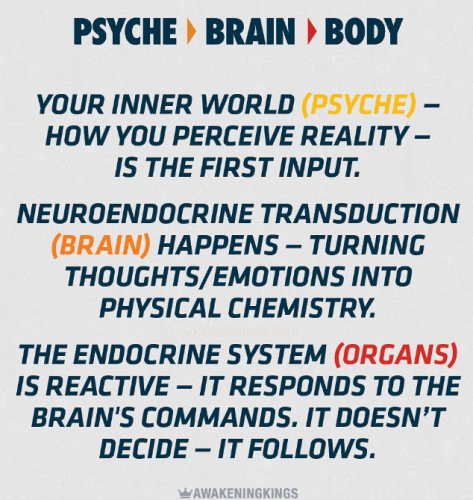 Screenshot 2025-08-02 120649