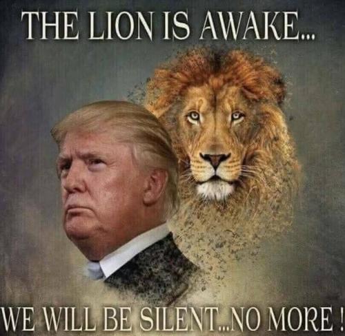 FB_IMG_1754792555118