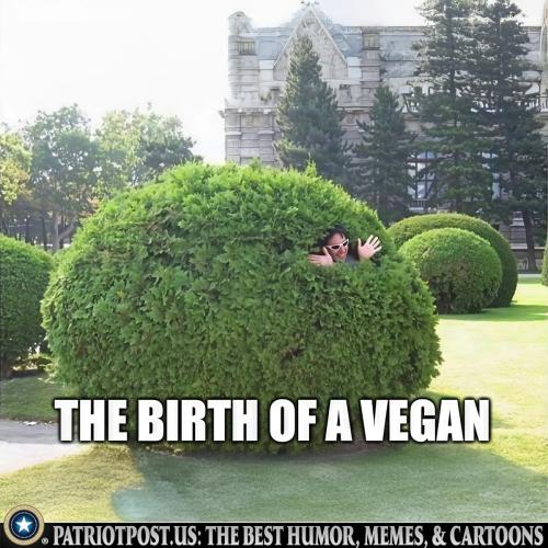 birth of a vegan