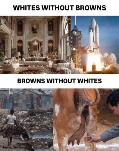 IMG_20250814_093221_647