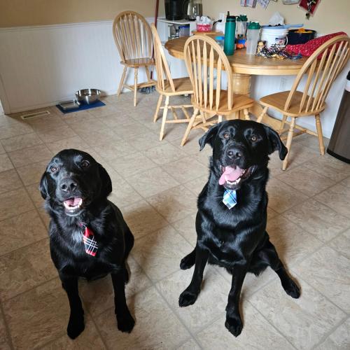 12:00:26 GMT-0600 (Mountain Daylight Time).image