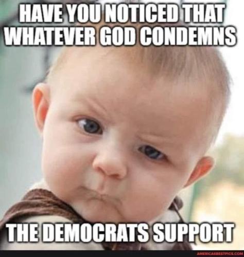 055633bf4142c0a6e75ef189bd350d8d