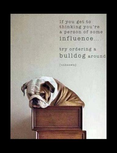 524625424_1043619771277740_265054838734710942_n