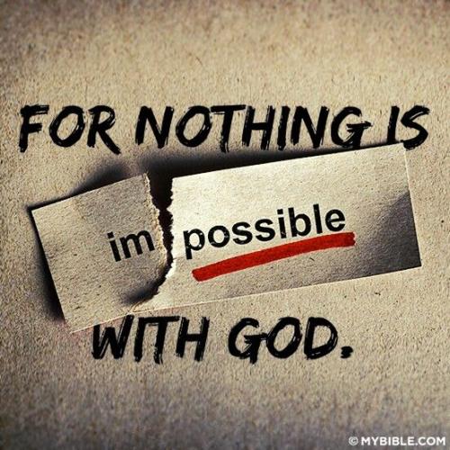 a7f9e4d5861452a74cdc96e66fdbd955