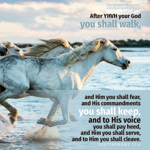 deu-13-4-JPS-unsplash