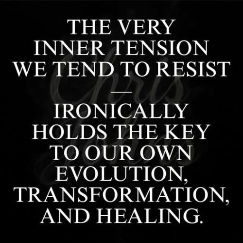 530767160_4125125647775110_5790084491236008609_n