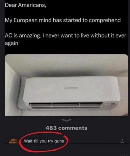 Dear Europe If you think AC is amazing, wait until you try guns.768px