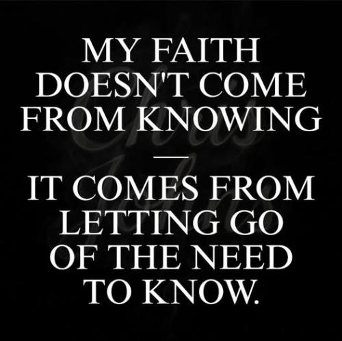 525568137_4115165095437832_7526417836820254240_n