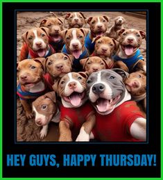 4e7e735267628812bacd32d905242de6