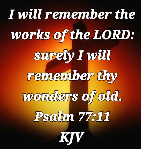 ed554d8f-e934-4129-84f6-8dae5c79a120