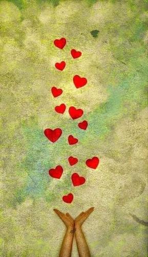 2e5487d5bb50f0bc00044d1ceeb55249