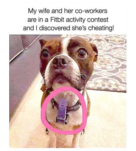 FB_IMG_1755625339813