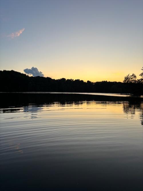 7AF06F29-239E-4AFA-942D-22C298C70A1D