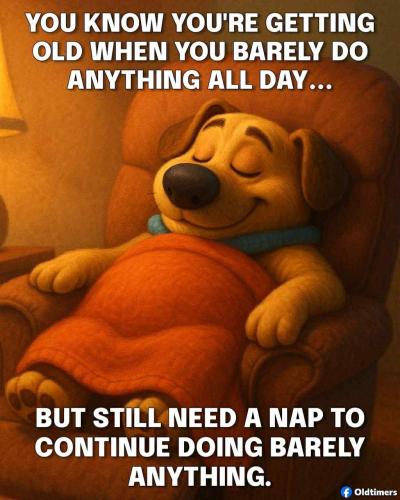 531787250_122182320002393657_8218393567666673244_n