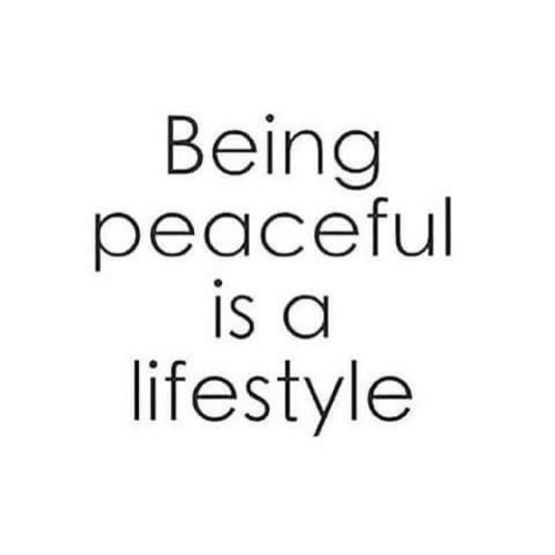 be558f714e8b8357d54d7102cd4e2ccb