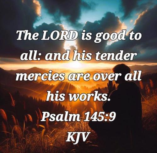 62429875-9da9-4d76-b868-53ea077cf5c1