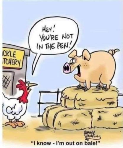 Screenshot_20250823_114613_Gallery