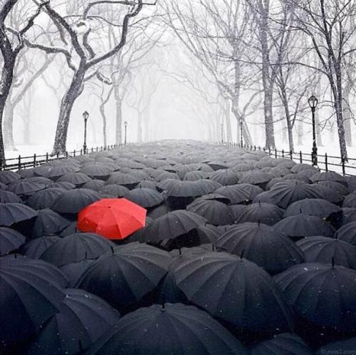 a5c6c9328564327fc600037915b5d87d