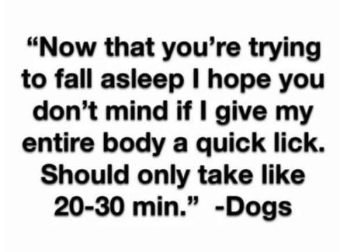 54f6a87586cad899844c1480da8ef9ce