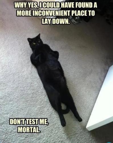 af7b7e964aa6c70fdfc88ce68ab292a5