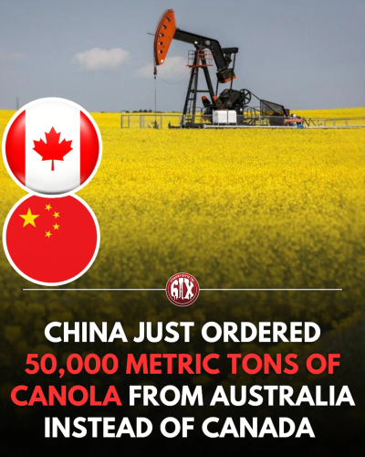 canola order