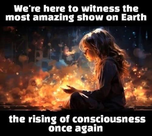 534562624_775131018736426_9049829244552827723_n