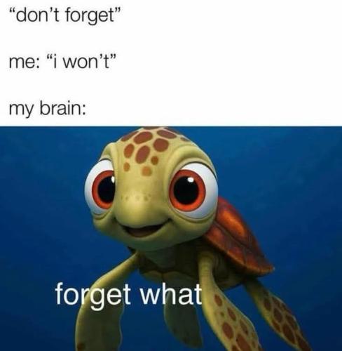 FB_IMG_1756008678875