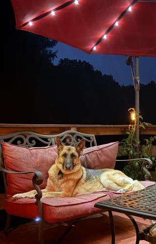 E3F272E5-255A-4608-BAE6-98F674B8FA92