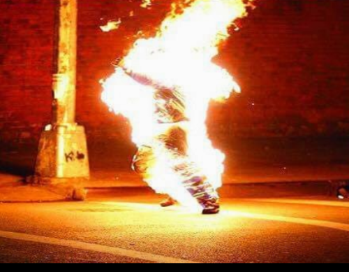 Screenshot_20250611-081423~2