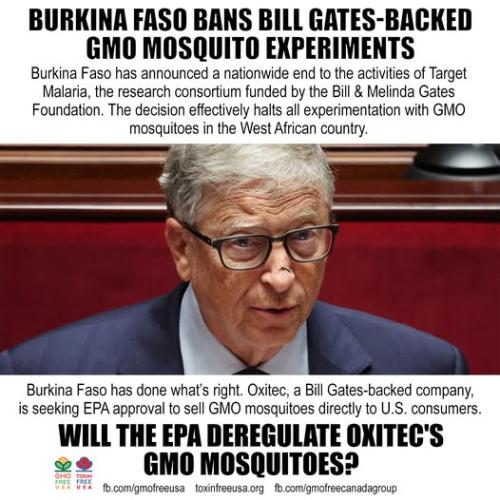 540353659_1159215302910463_6245072885393118948_n