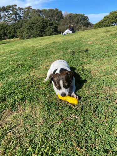 A84DAB6D-F3BD-4879-8967-2C6DB508EC8A