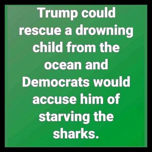 FB_IMG_1756185678257