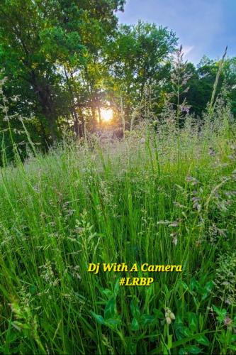 Screenshot_20250831_074220_Gallery