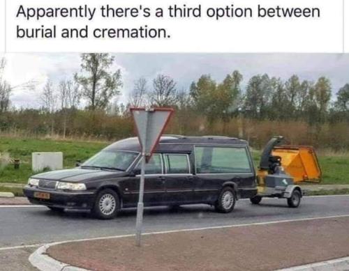 Screenshot_20250819_072252_Gallery