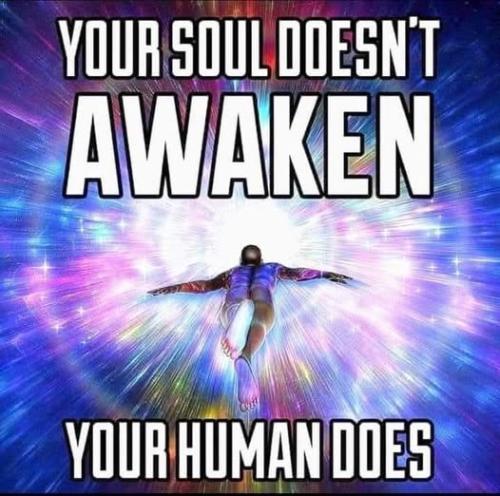 536267898_122224054994088259_2085233294993396706_n