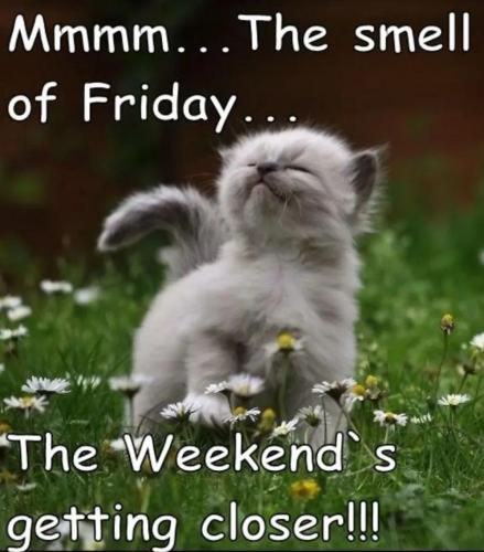 IMG_20250816_213742_305