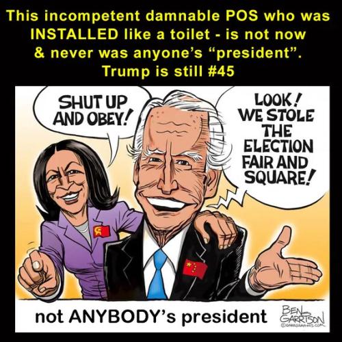 BEN GARRISON BIDEN NOT ANYBODYS