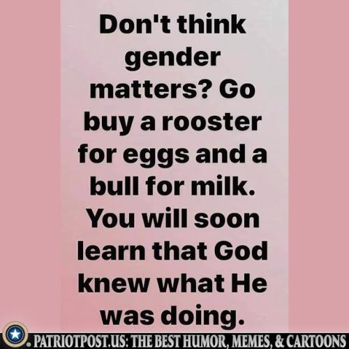 01K3HTVC9AM4EVPV4V3GMFC3ZN