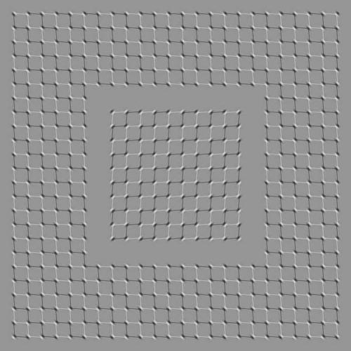 6bd03d12-a881-4551-80e0-1546a1c09646