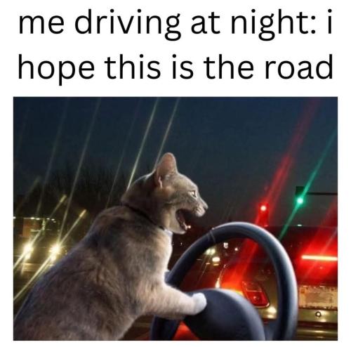 img - 2025-08-26T201635.077