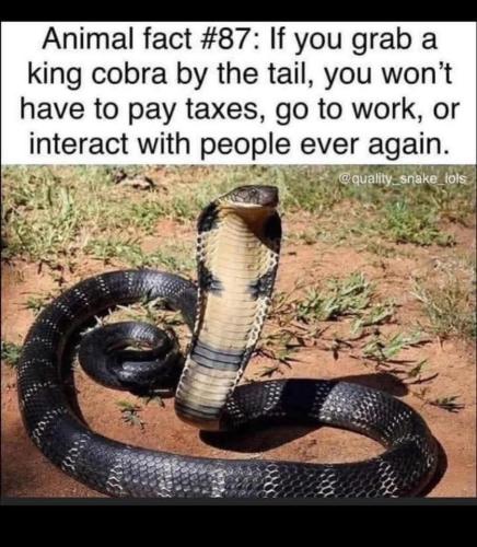 FB_IMG_1755915379076