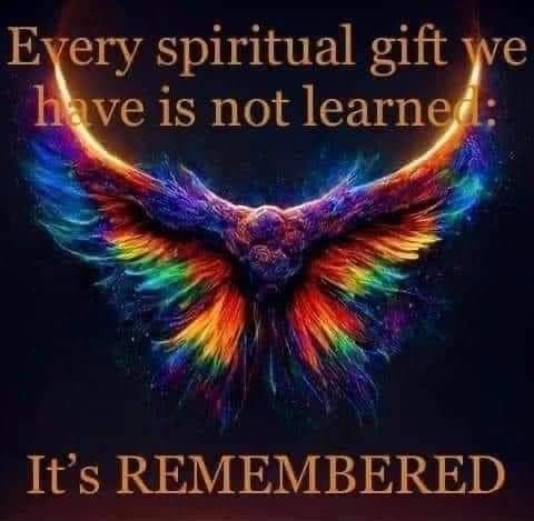 e55a48f3b236bbcde85d15e02d298d5e