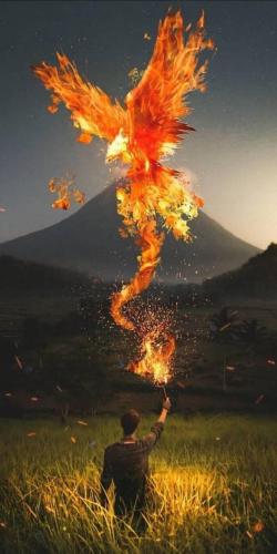 2ddb63b28aecc838ca444adbf3ceb050