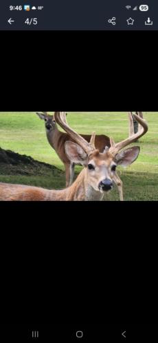 6e80240c-bfcc-4f33-8095-34b54f65d9ac