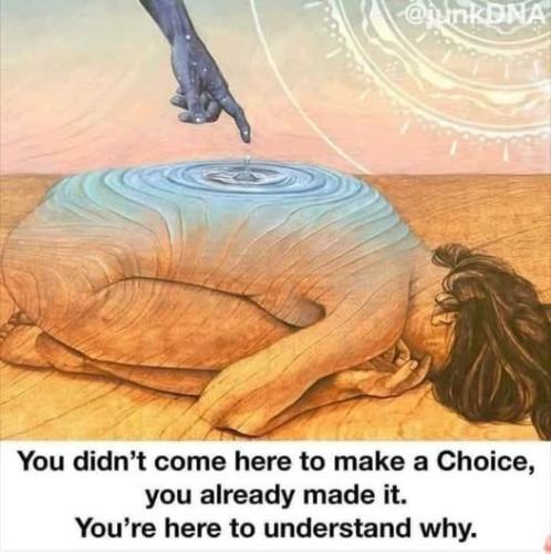 533772433_771717962411065_4853251428257671038_n