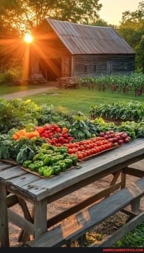 2afa9627c504fdb50a71f9866f149e4493853abdcfeb9a5ec8aee5559d8de413_1