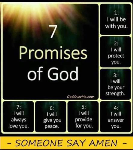 IMG_20250809_181229_704