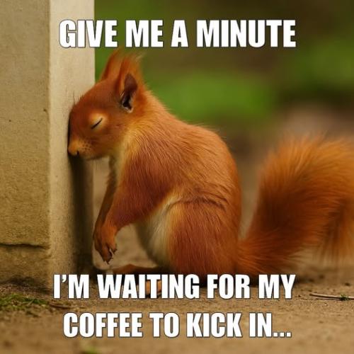 529324276_122195866676056085_5910195050162569198_n