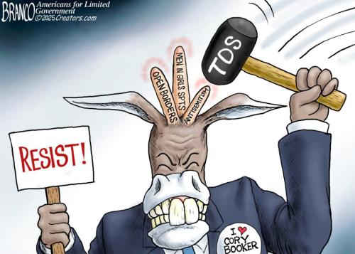 01-hammer-dt-1080-1050x750