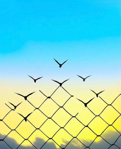 12ff907a033a3b42df355561a589e5e2